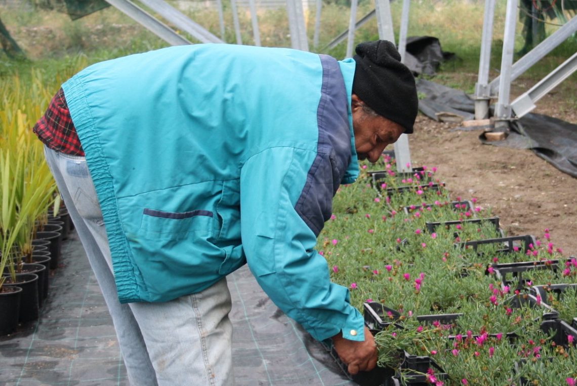 Una proposta di legge per finanziare progetti di inclusione  e di promozione dei diritti di cittadinanza