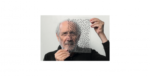 Horcynus Festival, alla scoperta di “Casalaina” di Isgrò