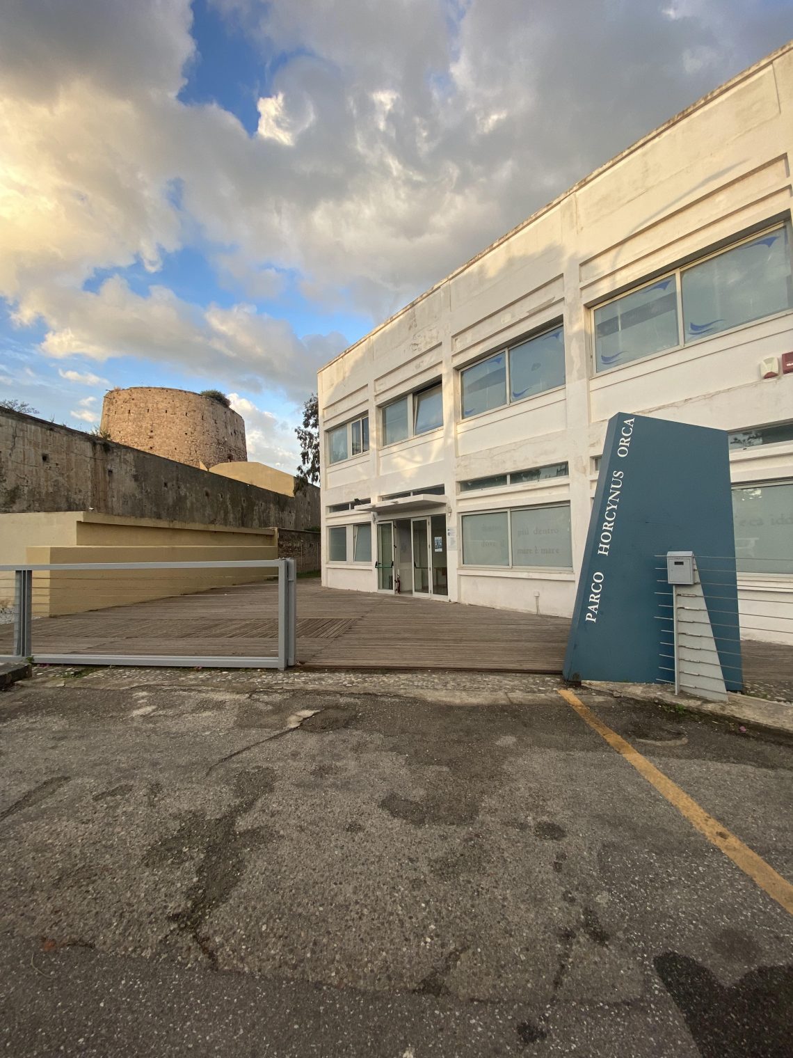 Servizio Civile Universale. Graduatoria provvisoria