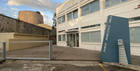 Servizio Civile Universale. Graduatoria provvisoria
