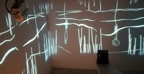 Immersi nella scienza e nella storia