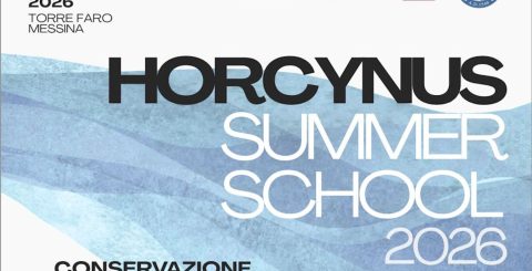 Horcynus Summer School 2026 – Conservazione e restauro delle opere d’arte contemporanee