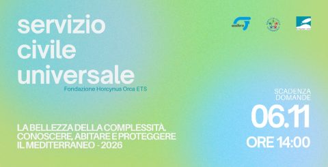 Servizio Civile alla Fondazione Horcynus Orca. Candidature entro il 6 novembre ore 14.00