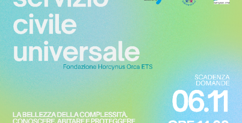 Servizio Civile alla Fondazione Horcynus Orca. Candidature entro il 6 novembre ore 14.00